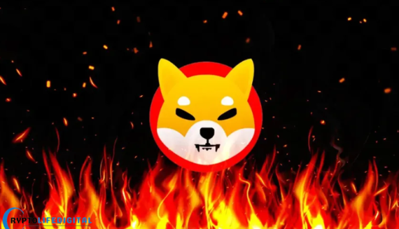 Shiba Inu Burn Activity Signals Persistent Deflationary Pressure