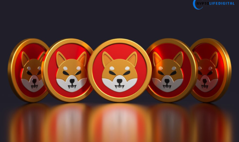 Shiba Inu and Bitget Wallet Introduce New Crypto Spending Card