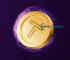 TapSwapProject Surpasses 28 Million Users, Announces Token Launch on New Blockchain