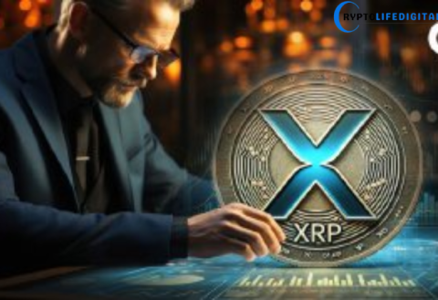 Whale Accumulation Drives XRP’s Surge