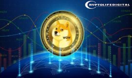 Dogecoin Whales Step In During Market Weakness