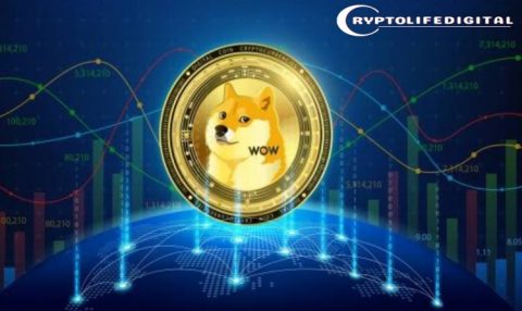 Dogecoin Whales Step In During Market Weakness