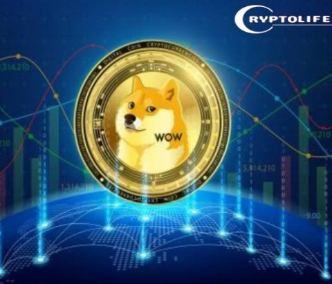 Bitwise Spot DOGE ETF Ignites New Wave of Institutional Excitement