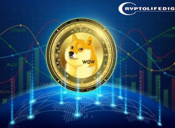 Dogecoin Whales Step In During Market Weakness