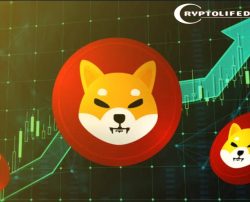 Plasma Bridge Returns With Strengthened Security Measures