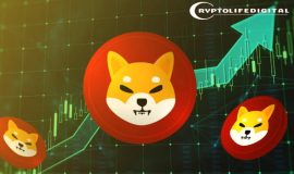 Shiba Inu Executive Signals Confidence in a Market Recovery