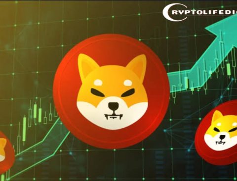 Shiba Inu Derivatives Activity Gains Attention