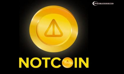 Notcoin(NOT) Skyrockets By Over 30% in the Midst of Cryptocurrency Market Turbulence