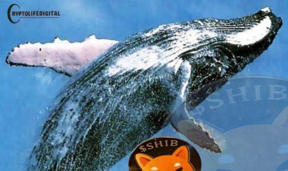 Shiba Inu Surges After Large Purchase of 715B Coins by Whale