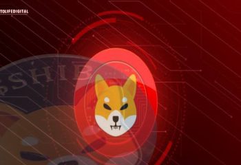 Price Prediction: Bitcoin Author Predicts a Massive 193,774% Surge for Shiba Inu, Targeting $0.05