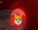 BONE Goes Mobile: Millions of Atomic Wallet Users Gain Access to Shiba Inu’s Ecosystem Token