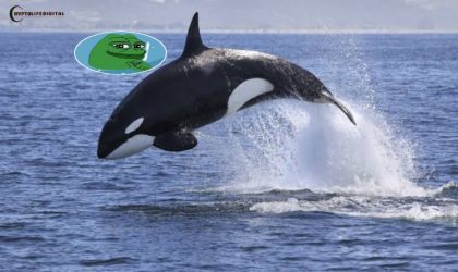 Uncovering the Mystery: What’s Behind the Enormous PEPE Whale’s Massive Collection of 881B+ Coins?