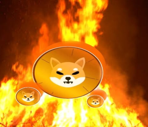 SHIB Burn Rate Skyrockets, Igniting Optimism Among Investors