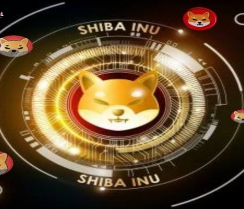 Insights from Santiment: Top SHIB Wallets Slashed Exchange Holdings By 2.4% Signalling a Bullish Trend