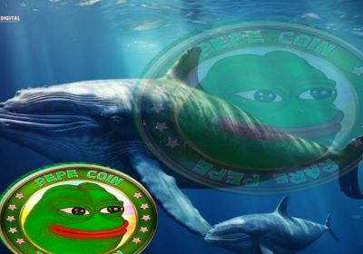 Enormous Whale Activity Sees 1.28 Trillion PEPE Out of Binance