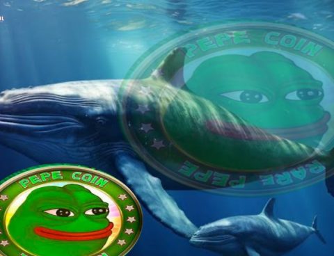 Whale Moves 357.2 Billion PEPE Tokens to Binance During Significant Price Drop
