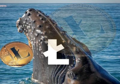 Litecoin (LTC) Whales Prevent $75 Downturn, Can We Expect a $90 Comeback?