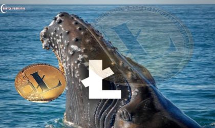 Litecoin (LTC) Whales Prevent $75 Downturn, Can We Expect a $90 Comeback?