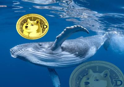 Dogecoin (DOGE) Price Surge Imminent as Whales Accumulate