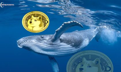Dogecoin (DOGE) Price Surge Imminent as Whales Accumulate