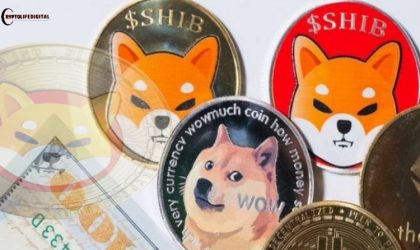 Shiba Inu: From Meme Coin to Top Contender? Forbes Explores Its Future