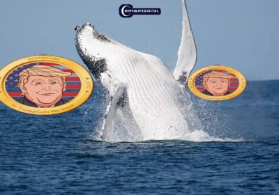 Whale Makes Headlines with Massive Profit from TRUMP Coins