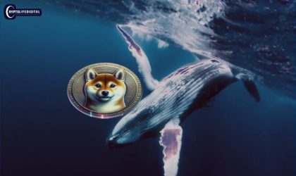 Shiba Inu Whales Shake Up the Market with Massive Volume of SHIB Withdrawal