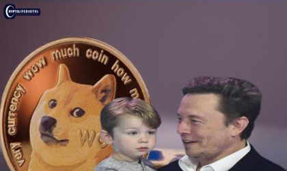 Breaking : Lil X Still Holds Dogecoin, as Confirmed by Elon Musk