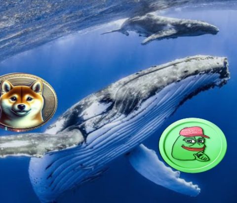Must-Read: Insights on the Recent Whales Dumping $26M in SHIB & PEPE