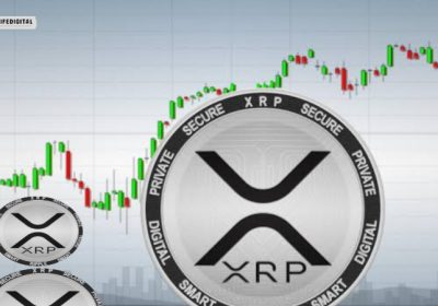 The Future of XRP: Why $500 Will Be a Bargain in 5 Years