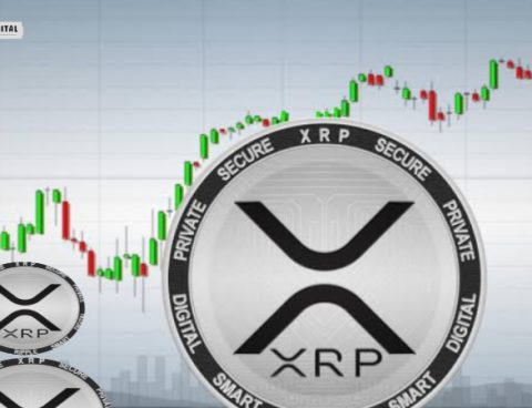 XRP: $500 Bargain in Five Years? Prominent Figure Makes Bold Prediction
