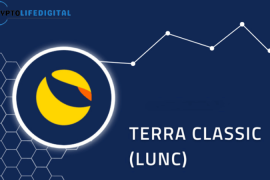 Terraport’s Token Factory: Empowering Innovation on Terra Classic