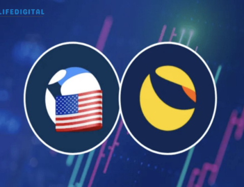 Growing Interest in USTC Conversion Marks a Pivotal Shift