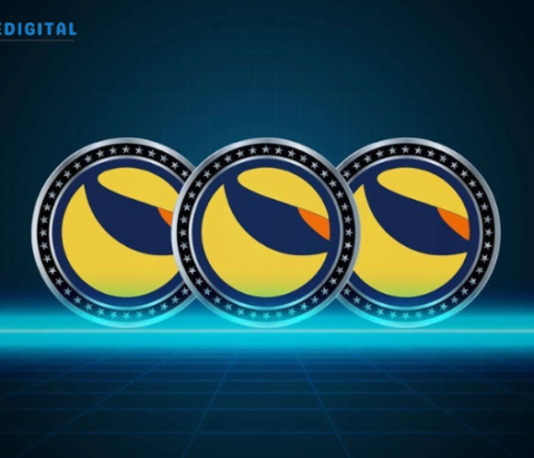 LUNC Chain Update: Tax2Gas to Impact NFT Marketplaces