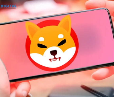 Shib OS: Bridging Blockchain Innovation with Practical Business Solutions