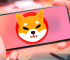 Shiba Inu Gains Ground: xPortal Now Lets Users Spend SHIB with New Debit Card Service