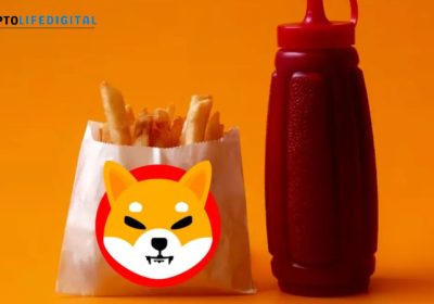 Shiba Inu Makes History with First-Ever Web3 Food Delivery Purchase