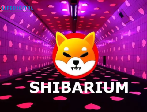 Shiba Inu Unveils a Transformative Privacy Upgrade for Shibarium