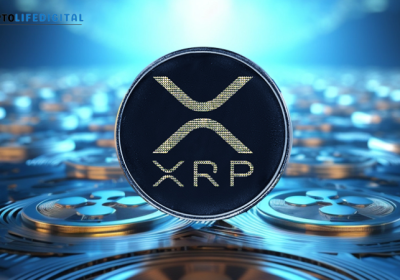 XRP Community Buzzes with Developments: Central Bank Adoption and DPay Token Presale