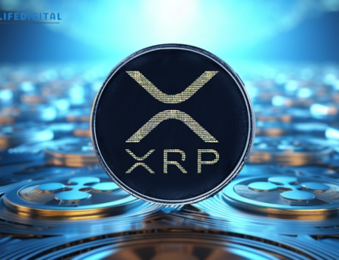 XRP Derivatives Trading Goes Live on Japan’s No. 1 Bitcoin Exchange