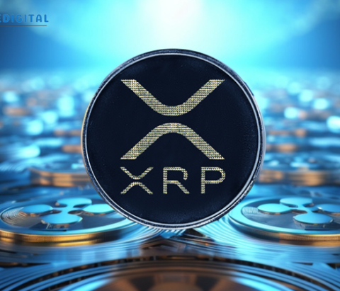 XRP Community Buzzes with Developments: Central Bank Adoption and DPay Token Presale