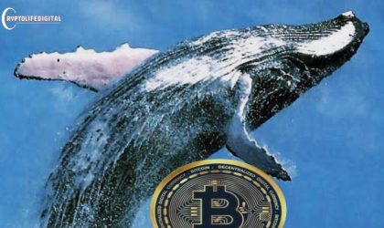 Whale Offloaded $114M Worth of BTC to Binance, What’s Does this Mean?