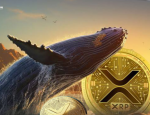 XRP Whale Transfer a Whopping 70M XRP, Analyst Predicts Upcoming Bull Run