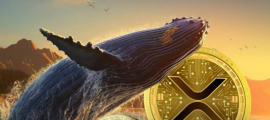 XRP Whales Stocking Market as SEC Appeal Looms: What’s the Next Move?