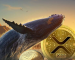 XRP’s $1 Potential: Is It Still Within Reach Amidst Whale Transfers?