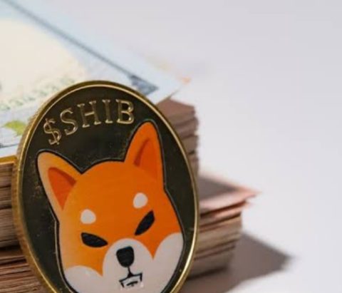 Shiba Inu (SHIB) Indicates Bullish Momentum as Enormous Whale Increase Long-term Holding