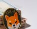 Shiba Inu is an Essential Asset for Any Investors Portfolio, Says SHIB Team