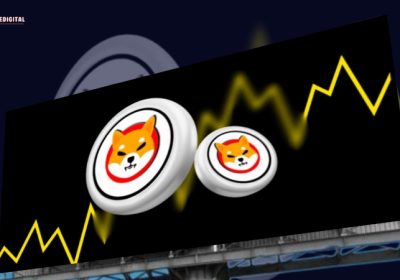 Get Ready: Shiba Inu is Poised for an 855% Boost as Discreet Bullish Divergence Indicates a Significant Rise