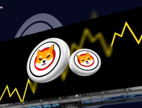 Get Ready: Shiba Inu is Poised for an 855% Boost as Discreet Bullish Divergence Indicates a Significant Rise