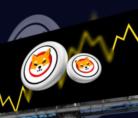 Exclusive Interview: The Shiba Inu Team Reveals Insights on SHIB ETF